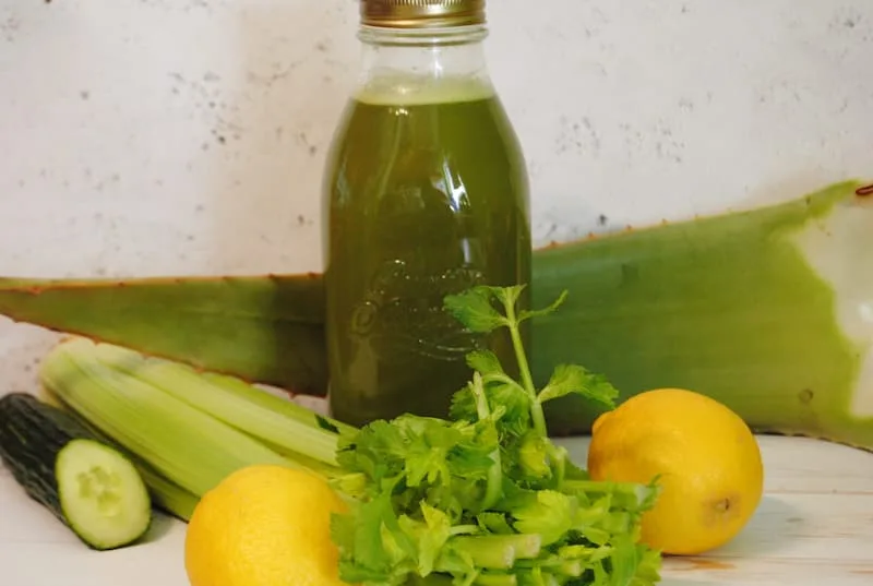 Sellerie-Saft Rezept
